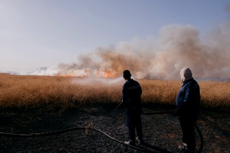 Views of the field fires in summer of 2019 that were sweeping across Sinjar (Shingal) 29