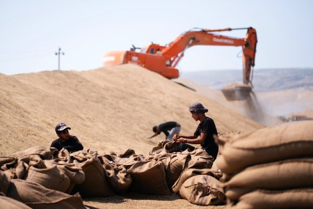 Views of the government depot in summer of 2019 where grain was received and processed in Shingal, known also as Sinjar 20