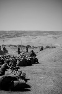 Views of the government depot in summer of 2019 where grain was received and processed in Shingal, known also as Sinjar 12