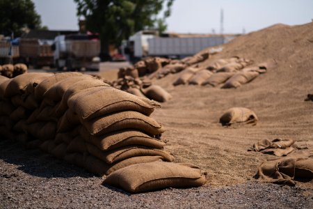 Views of the government depot in summer of 2019 where grain was received and processed in Shingal, known also as Sinjar 17