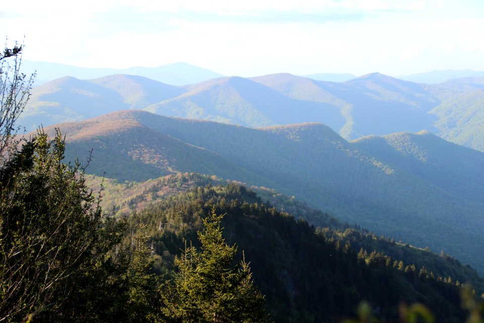 View from Waterrock Knob's summit, May 2017 2