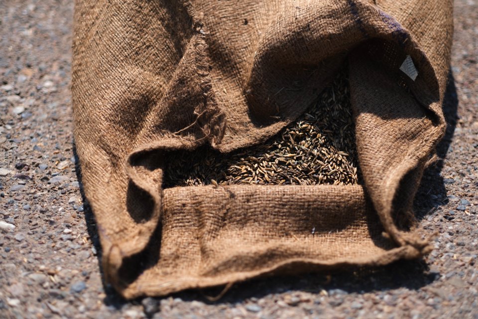 Views of the government depot in summer of 2019 where grain was received and processed in Shingal, known also as Sinjar 06