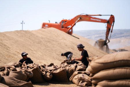 Views of the government depot in summer of 2019 where grain was received and processed in Shingal, known also as Sinjar 18