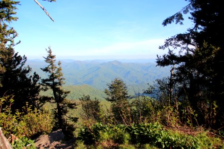 View from Waterrock Knob's summit, May 2017 5