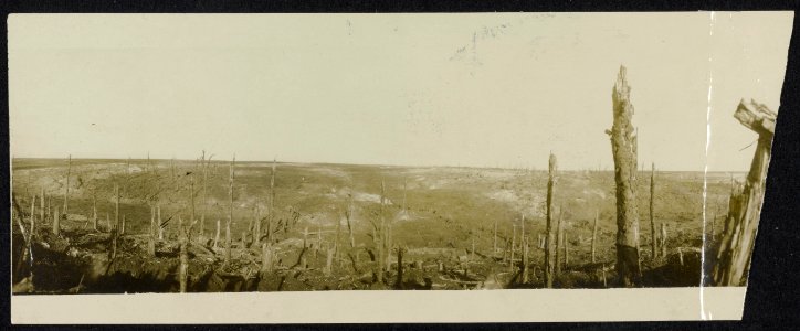 View in Beaumont Hamel. The hill opposite was studded with houses and trees befo, Bestanddeelnr 158-1308