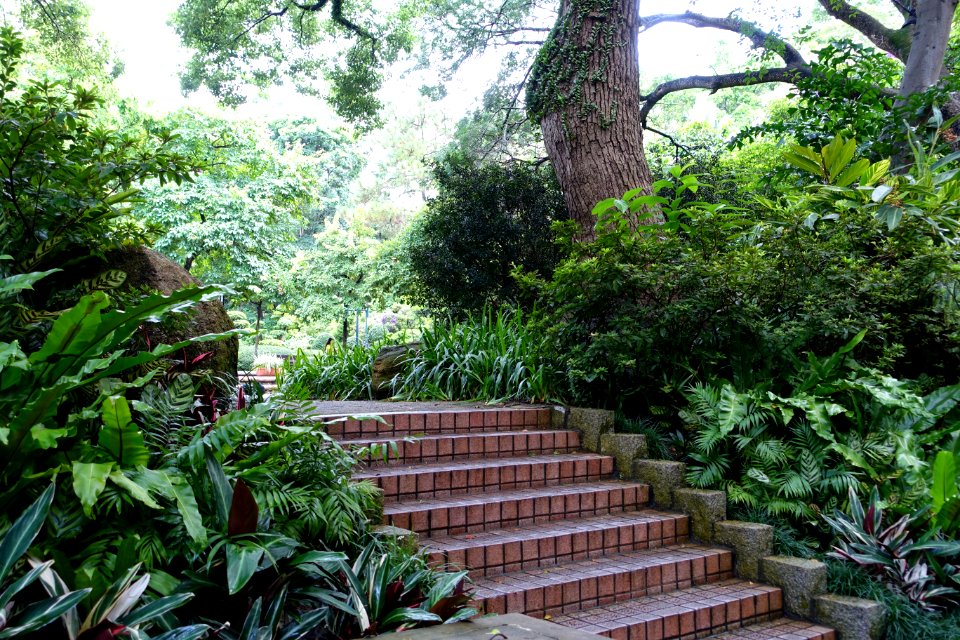 View in Kowloon Park, Tsim Sha Tsui, Kowloon, Hong Kong - DSC00662