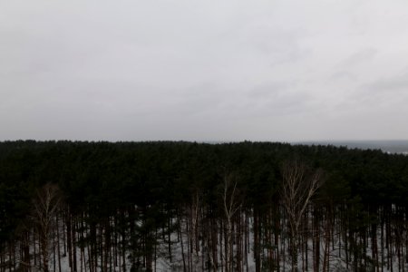 View from Wietkiekenberg observation tower with snow 2021-02-07 01