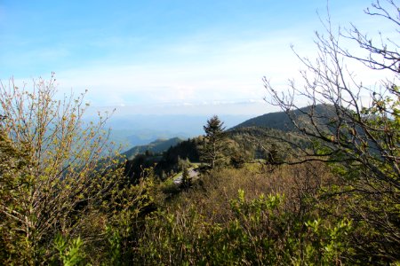 View from Waterrock Knob's summit, May 2017 1