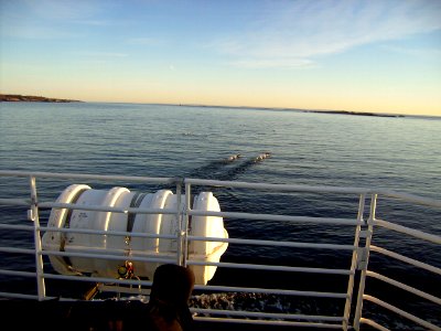 View from Waxholmsbolaget's boat to Landsort, April 2009