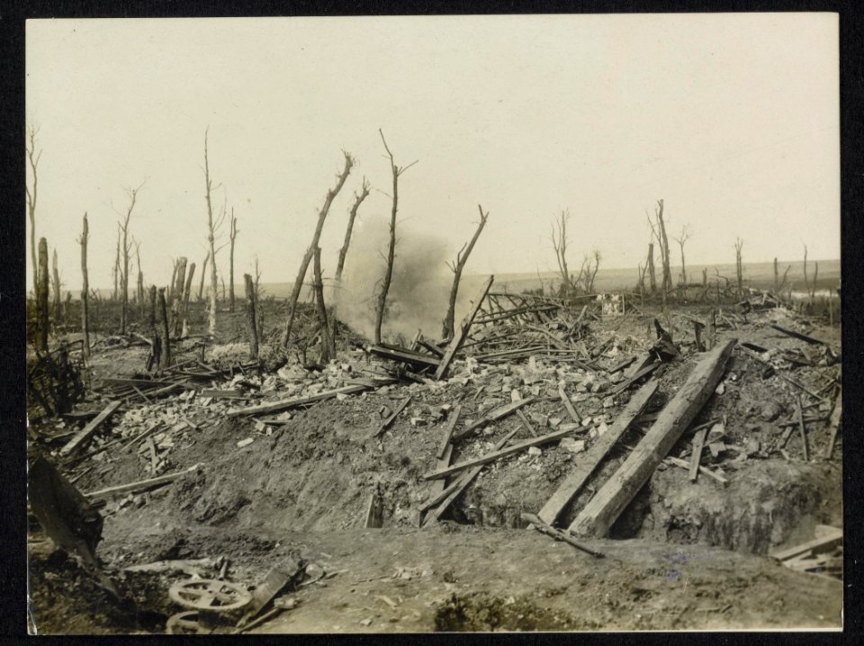 View in Courcelette, captured by the Canadians, Bestanddeelnr 158-1123