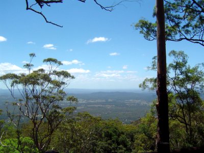 View north from The Knoll Tamborine Mountain