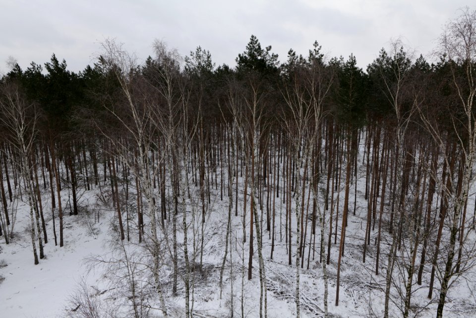 View from Wietkiekenberg observation tower with snow 2021-02-07 17