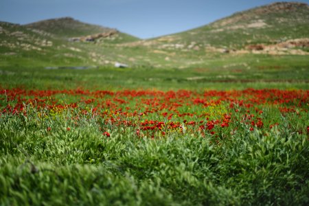 View in May of 2019 at Sardashte Camp for Ezidi IDPs, on top of Shingal Mountain