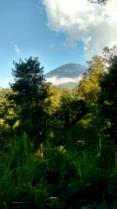 View in north bali 2