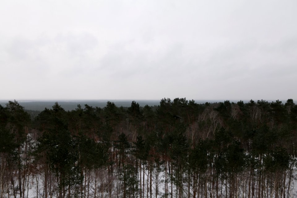 View from Wietkiekenberg observation tower with snow 2021-02-07 02