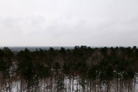 View from Wietkiekenberg observation tower with snow 2021-02-07 02