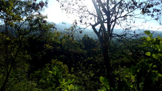 View in north bali
