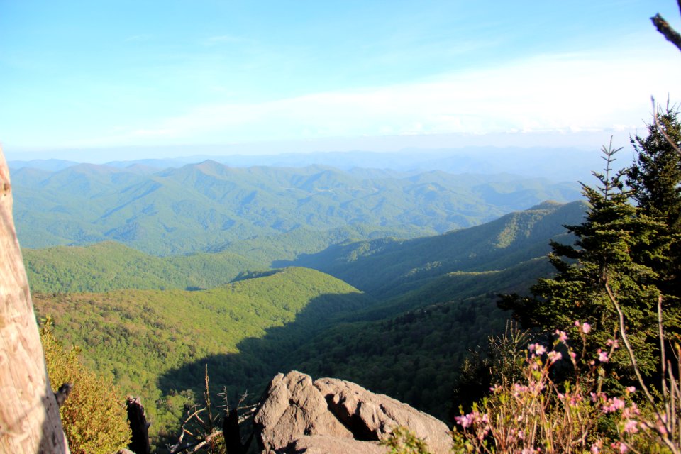 View from Waterrock Knob's summit, May 2017 3