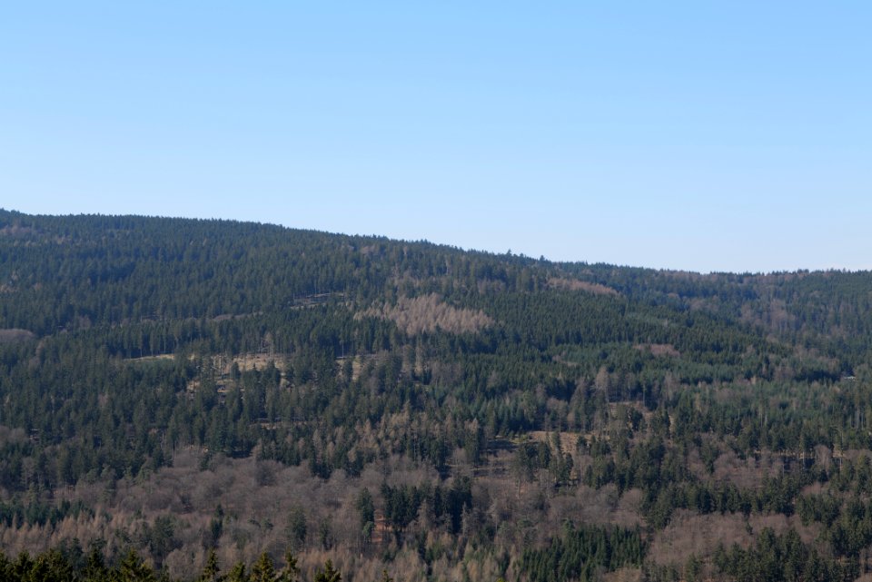 View from Weiße Mauer Taunus 2020-03-25 02