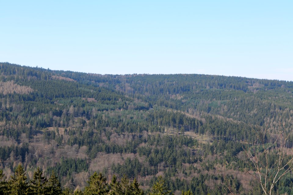 View from Weiße Mauer Taunus 2020-03-25 08