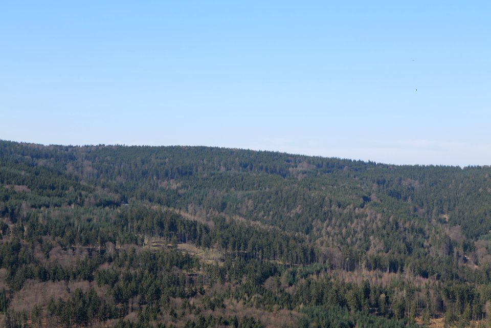 View from Weiße Mauer Taunus 2020-03-25 03