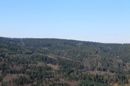 View from Weiße Mauer Taunus 2020-03-25 03