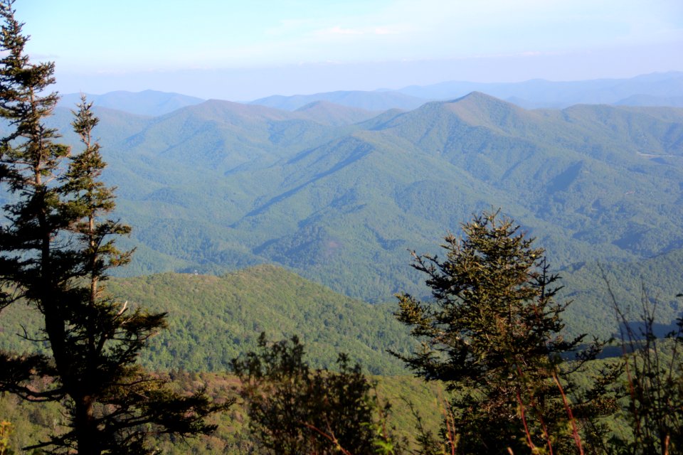 View from Waterrock Knob's summit, May 2017 4