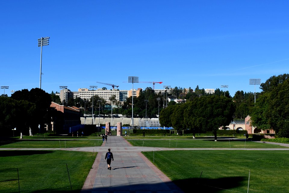 View of Wilson Plaza from Janss Steps, UCLA
