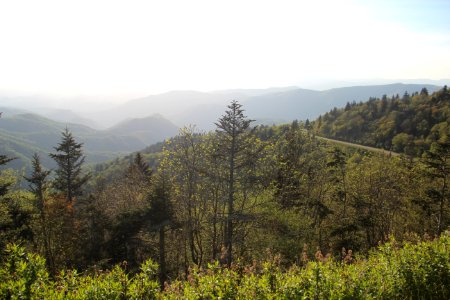 View from Waterrock Knob parking lot looking west, May 2017
