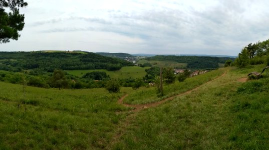 View on Apach from Hammelsberg 2019-06-09 1