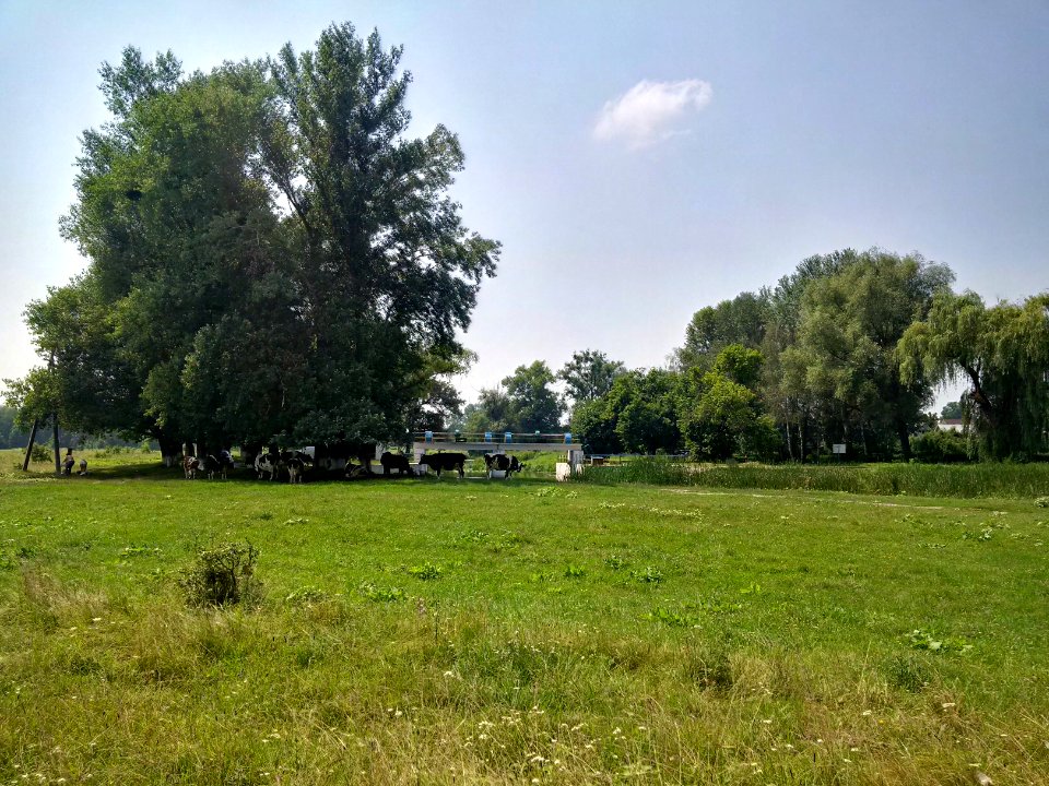 View on water level control gate on Trubizh River in Pereiaslav-Khmelnytskyi