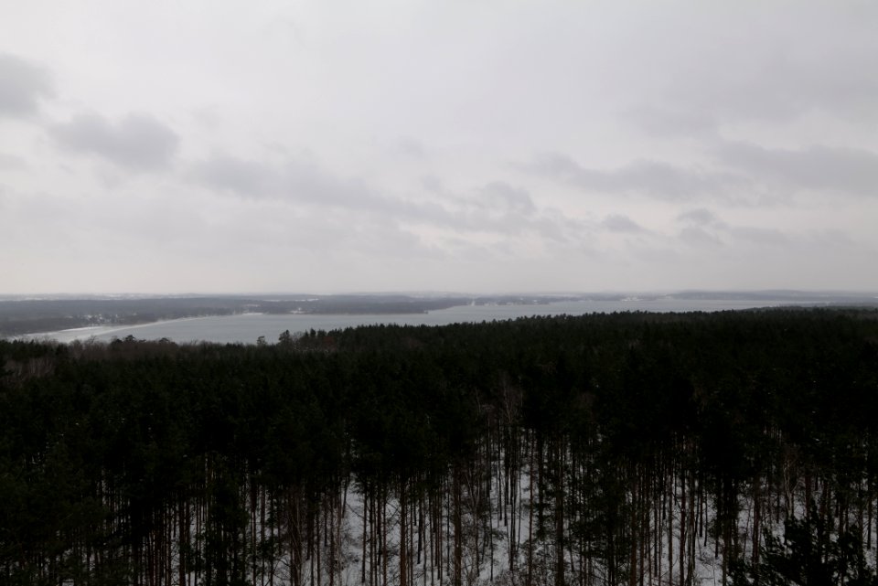 View from Wietkiekenberg observation tower with snow 2021-02-07 08