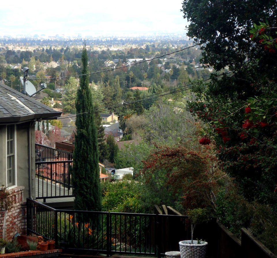 View of Bay Area including San Jose from a hill side