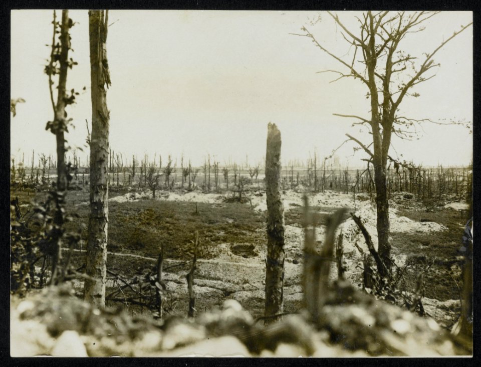 View on Thiepval from Thiepval Wood, Bestanddeelnr 158-0468