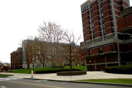 View from Wilson Boulevard at the University of Rochester photo
