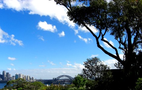 View on Sydney from the zoo