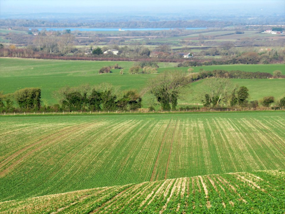 View from Windover Hill 1