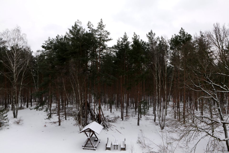 View from Wietkiekenberg observation tower with snow 2021-02-07 18