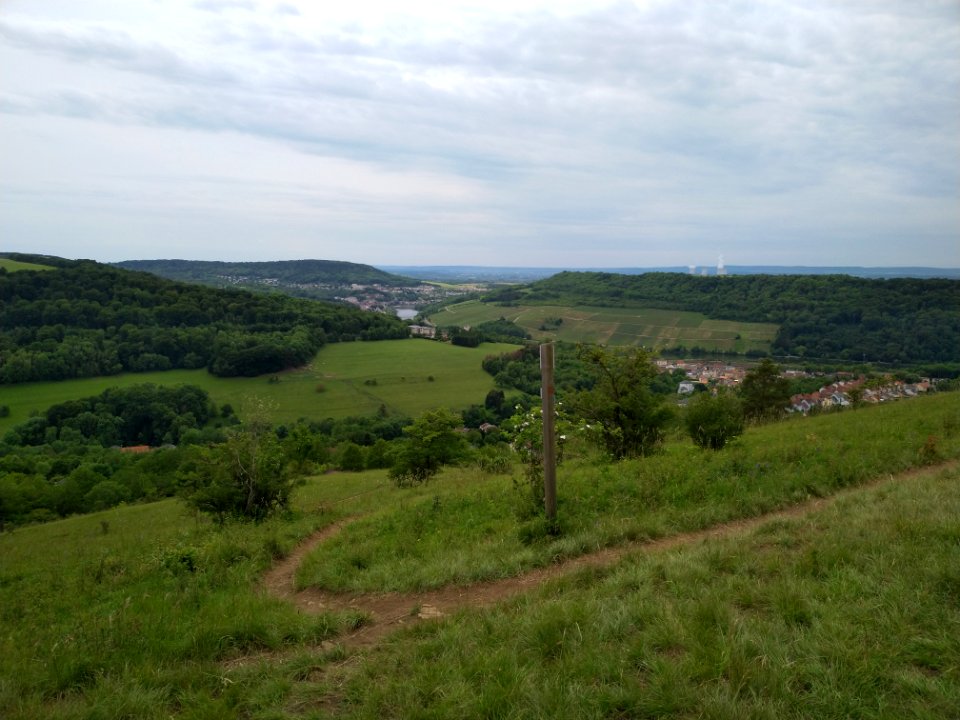 View on Apach from Hammelsberg 2019-06-09 2