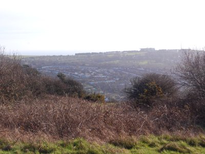 View of Bear Road and Coombe Road area from Hollingbury Hill, Brighton (February 2020) (1)