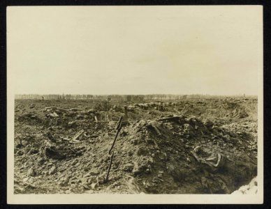 View looking backwards from the front line trenches on Hill 60. Zillebeke lake j, Bestanddeelnr 158-1100