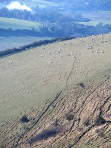 View from Windover Hill 6