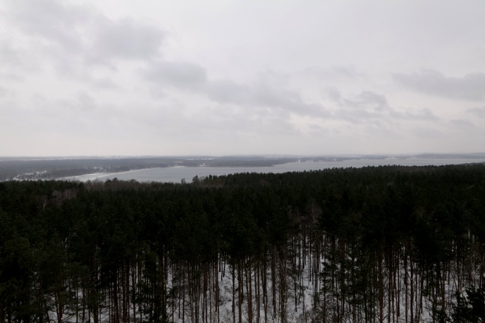 View from Wietkiekenberg observation tower with snow 2021-02-07 05