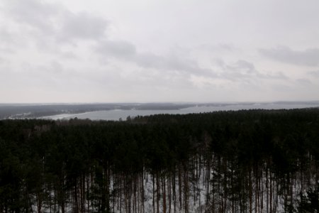 View from Wietkiekenberg observation tower with snow 2021-02-07 05