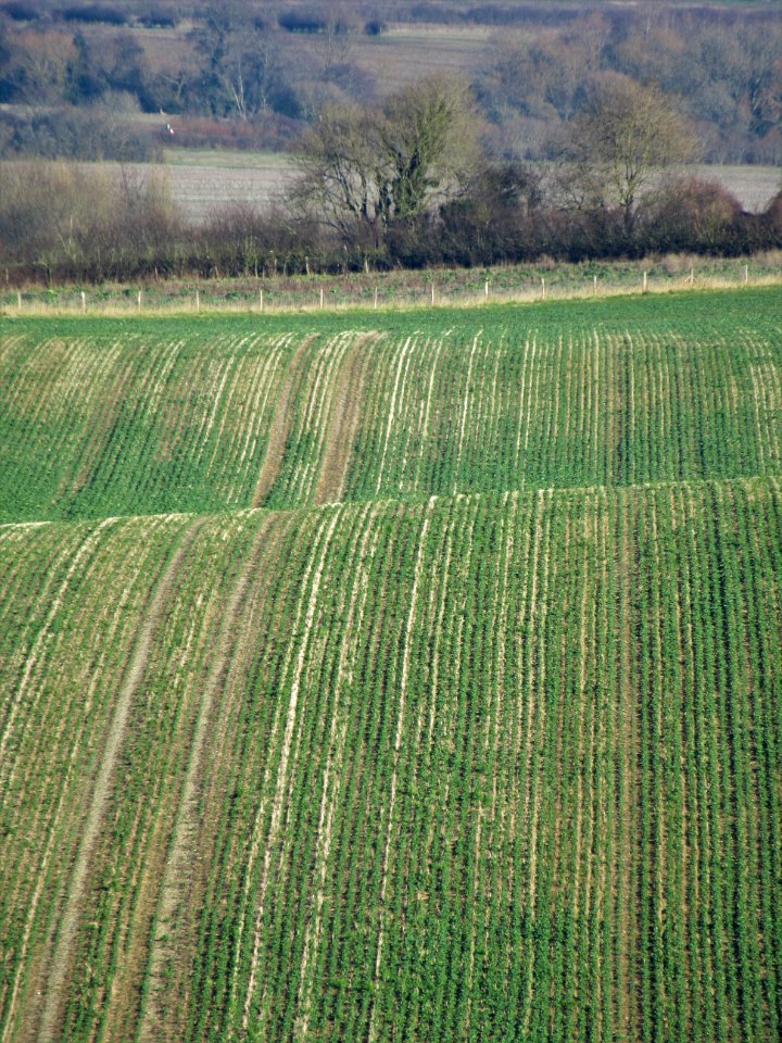 View from Windover Hill 7