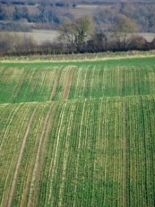 View from Windover Hill 7