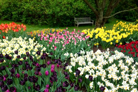 View of flower beds - Longwood Gardens - DSC00824