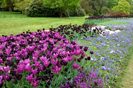 View of flower beds - Longwood Gardens - DSC00960 photo