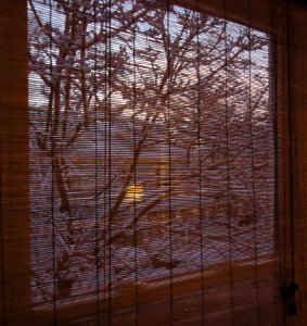 View of houses in snow through blinds photo