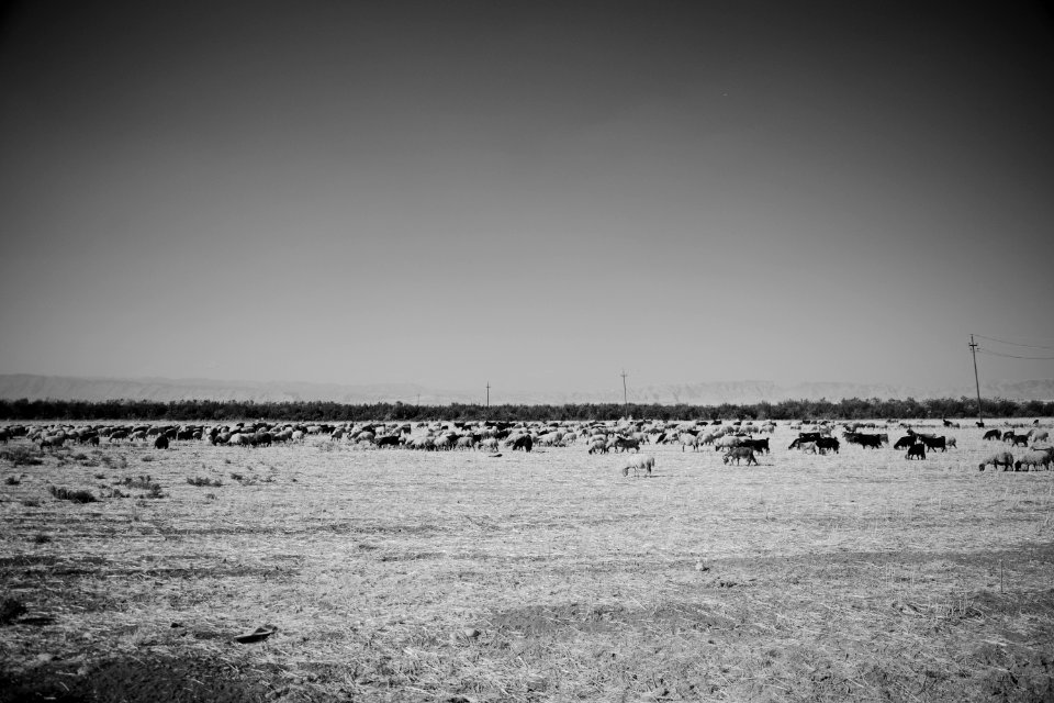 Views around the road between Bardarash and Ruvia 03